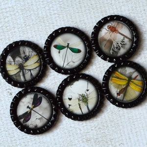 Dragonfly Magnets Dragonfly Home Decor Kitchen Magnets Dragonfly Bottlecap Magnets Gift Under 10, Gift For Her Asian Inspired Dragonfly image 1