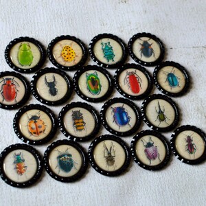 May include: A collection of twenty bottle cap magnets, each featuring a different colorful insect illustration. The insects are set against a cream-colored background and framed by a black, scalloped edge. The insects include beetles, ladybugs, and other bugs.