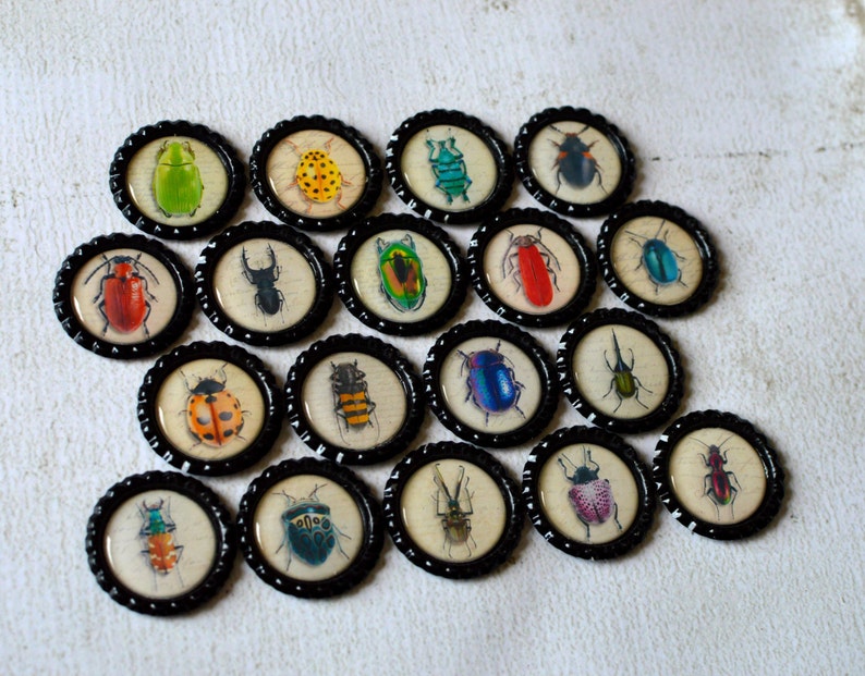 May include: A collection of twenty bottle cap magnets, each featuring a different colorful insect illustration. The insects are set against a cream-colored background and framed by a black, scalloped edge. The insects include beetles, ladybugs, and other bugs.