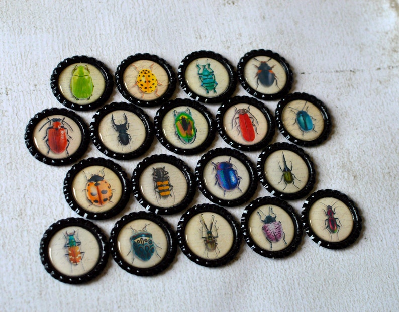 Insect Bottlecap Magnets Bugs, Beetle, Lady Bug, Bee, Ant Strong Insect Bottlecap Magnets image 5