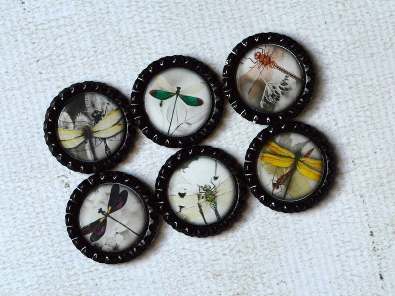 Dragonfly Magnets Dragonfly Home Decor Kitchen Magnets Dragonfly Bottlecap Magnets Gift Under 10, Gift For Her Asian Inspired Dragonfly image 1