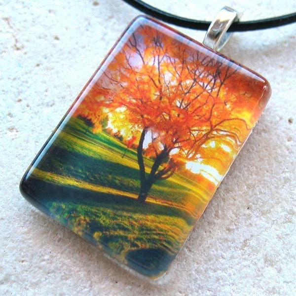 Sunlight Through New York Tree- Glass Rectangle Photo Pendant with Black Ball Chain