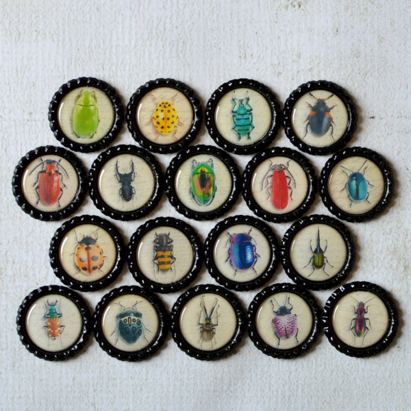 Insect Bottlecap Magnets- Bugs, Beetle, Lady Bug, Bee, Ant- Strong Insect Bottlecap Magnets