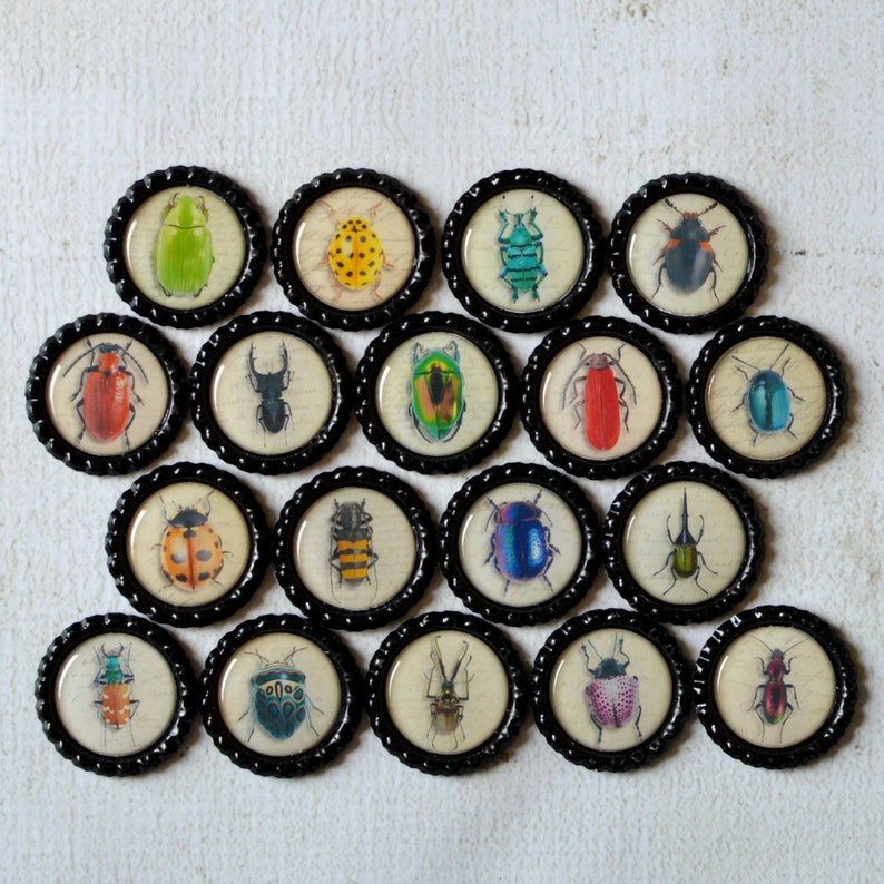 Insect Bottlecap Magnets Bugs, Beetle, Lady Bug, Bee, Ant Strong Insect Bottlecap Magnets image 1