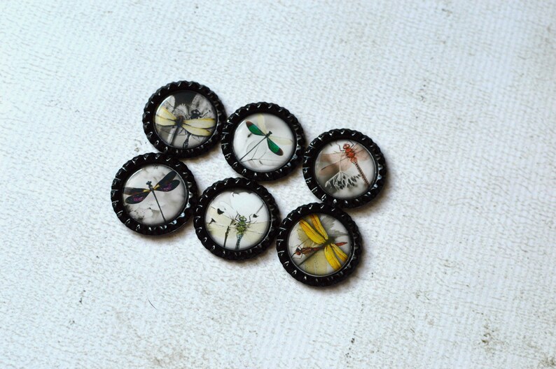 Gift Under 10 Kitchen Magnets Gift For Her Dragonfly Home Decor Asian Inspired Dragonfly Dragonfly Bottlecap Magnets Dragonfly Magnets