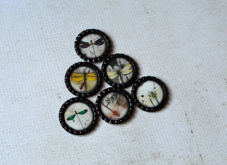 Dragonfly Magnets Dragonfly Home Decor Kitchen Magnets Dragonfly Bottlecap Magnets Gift Under 10, Gift For Her Asian Inspired Dragonfly image 7