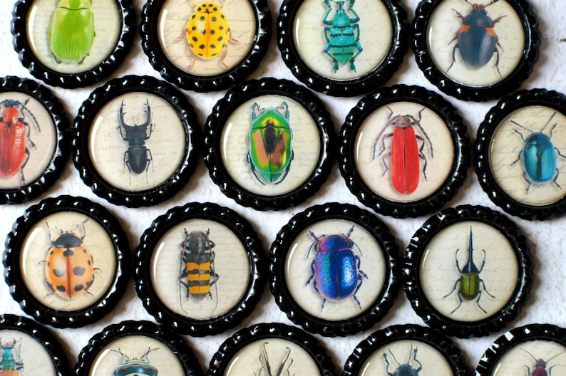 Insect Bottlecap Magnets Bugs, Beetle, Lady Bug, Bee, Ant Strong Insect Bottlecap Magnets image 2