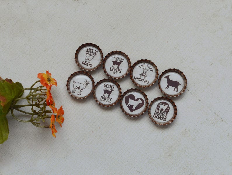 Imanes divertidos de cabras con forma de tapones de botella - Regalo de granja - Decoración de cocina de granja - Cabra divertida - Regalo de cabra - Mamá de cabra - Humor de granja - Decoración de cabra adorable - Regalo para ella imagen 12