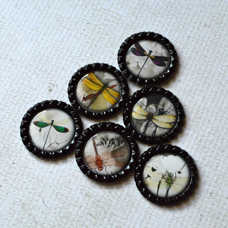 Dragonfly Magnets Dragonfly Home Decor Kitchen Magnets Dragonfly Bottlecap Magnets Gift Under 10, Gift For Her Asian Inspired Dragonfly image 3