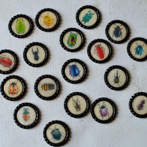 Insect Bottlecap Magnets Bugs, Beetle, Lady Bug, Bee, Ant Strong Insect Bottlecap Magnets image 4