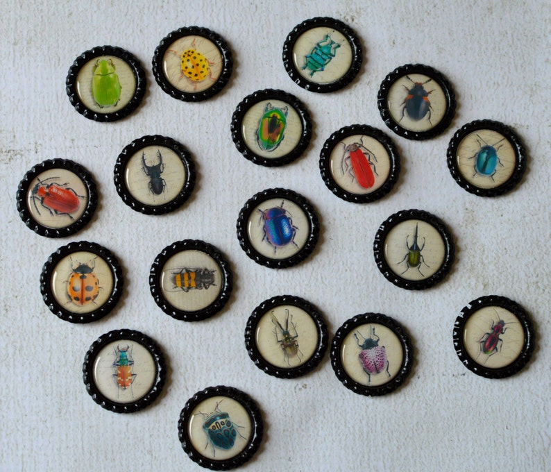 Insect Bottlecap Magnets Bugs, Beetle, Lady Bug, Bee, Ant Strong Insect Bottlecap Magnets image 4