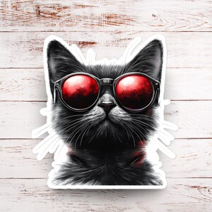 Funny Black Cat Sticker, Bubble-free stickers, Laptop Stickers, Water Bottle Stickers, Funky Cat Stickers