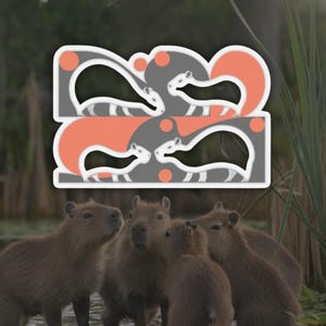 Capybara Aufkleber, Vinyl-Aufkleber, Capybara Liebhaber Geschenk, Tierliebhaber, Niedlicher Aufkleber, Natur inspirierte Kunst, Deco-Aufkleber, Capybara Geschenk