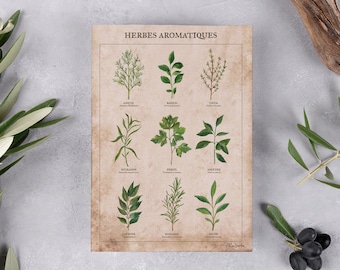 Postcard - botanical - drawing - A5 - Herbes aromatiques