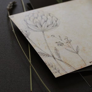 Postal protea floral diseño botánico flor floral boho Protheas imagen 4