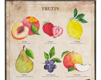 Art Print - Poster - Botanical drawing - Drawing - Fruits