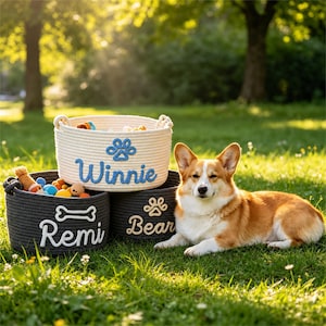 May include: Three round rope storage baskets in cream, dark gray, and black. The cream basket features the blue text "Winnie" and a paw print. The dark gray basket displays the white text "Remi" and a bone. The black basket shows "Bear" and a paw.