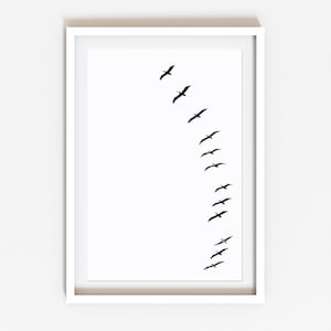 Fine Art B&W Photography Print, Pod of Pelicans Arc, Coastal Bird Picture, Black and White Minimalist Home Decor, California Beach Wall Art