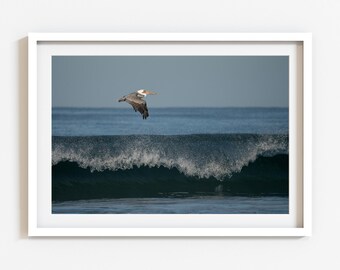 Pelican Fine Art Print: Coastal Wildlife Photography, Beach House Decor