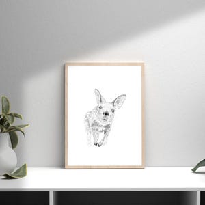 Curious Kangaroo Print: Hand-Drawn Pencil Sketch, Australian Wall Art