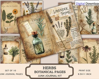 Herbs Botanical Pages, Vintage Junk Journal Paper, Scrapbook Supply Ephemera (Digital Download)