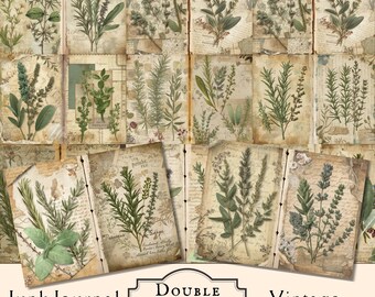 Vintage Junk Journal Papers Journal Scrapbook Supply Ephemera, Vintage Herbs  Botanical Pages