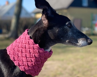 Crochet Dog Sighthound Greyhound Cowl