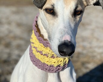 Crochet Dog Sighthound Greyhound Cowl