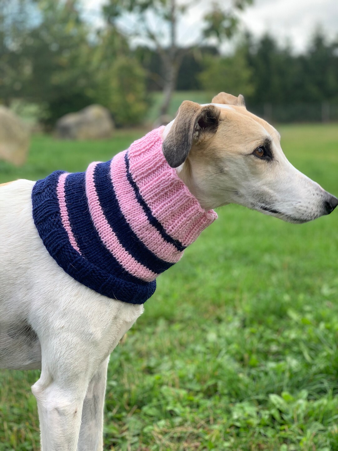 Pure Alpaca Dog Greyhound Snood Cowl