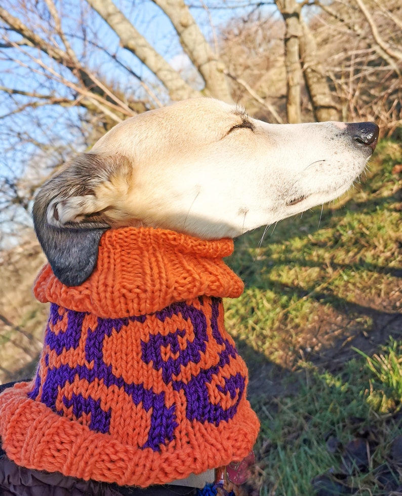 Warm Merino Wool Dog Snood Neckwarmer Etsy