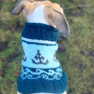 Pure Alpaga Dog Sighthound Snood / Cowl - Ancre et vagues &quot; Küstenhund »