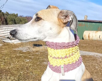 Cappuccio per levriero all'uncinetto per cani