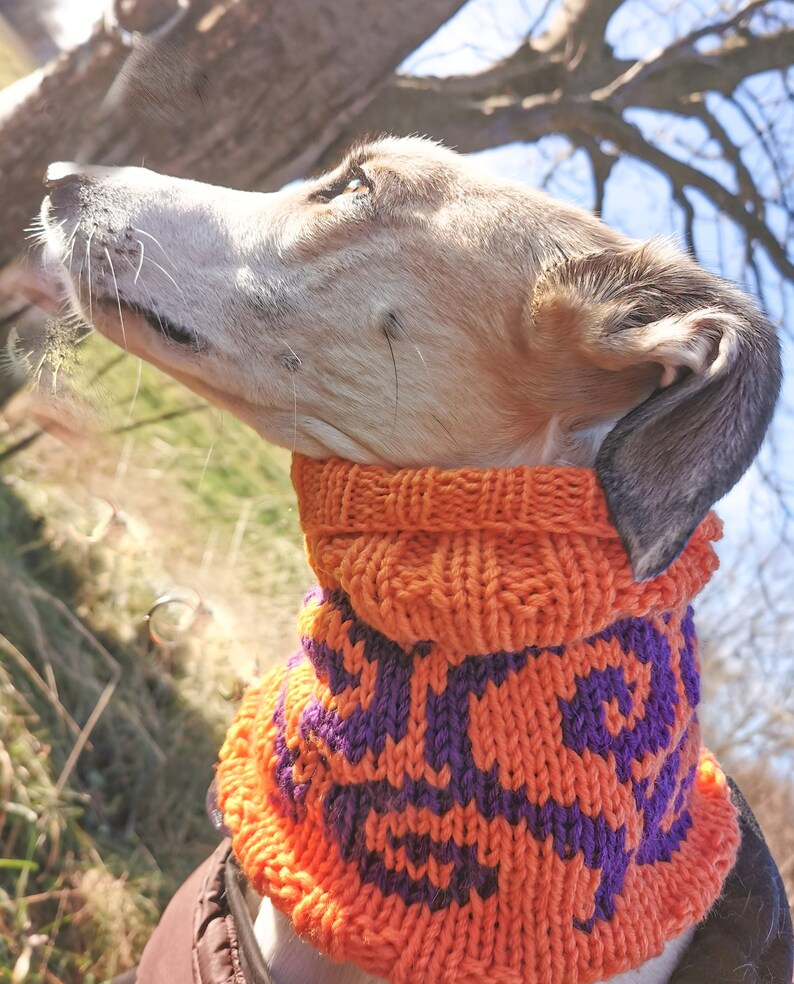 Warm Merino Wool Dog Snood Neckwarmer Etsy