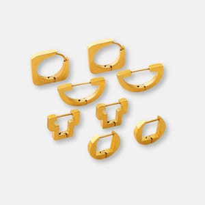Daily Earrings