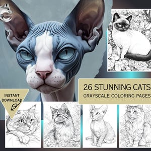 Stunning Cats Coloring Pages, Cats Coloring Sheets, Cats Coloring Books, Grayscale Cat Sheet, Cats Instant Download, Cat Printable PDF File