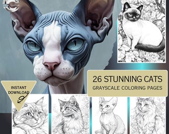 Stunning Cats Coloring Pages, Cats Coloring Sheets, Cats Coloring Books, Grayscale Cat Sheet, Cats Instant Download, Cat Printable PDF File