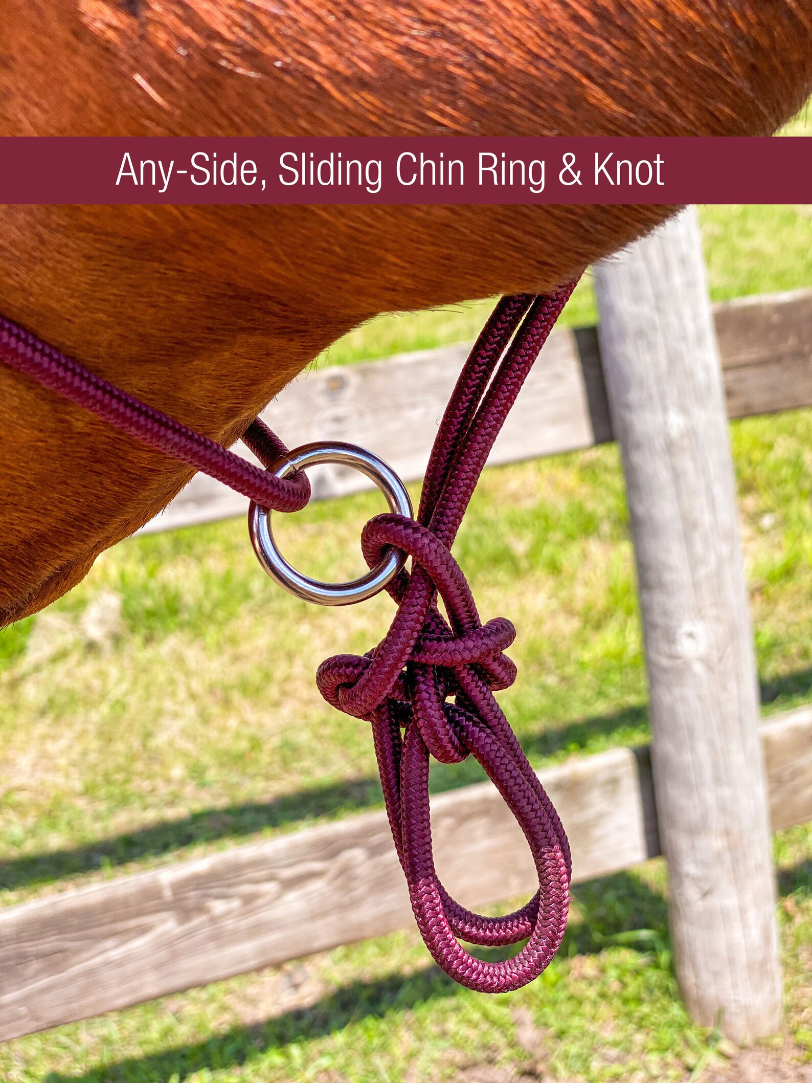 Sliding Knot Horse Training Halter Stiff Rope Halter for Etsy