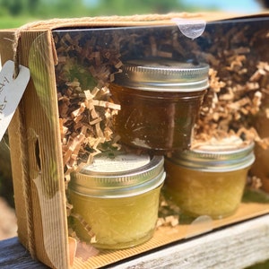 Raw Honey - 3 Pack Variety Gift Set