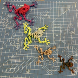 Articulated Skeleton Frog – 3D Printed Flexi Frog – Poseable Desk Toy – Spooky Frog Decor