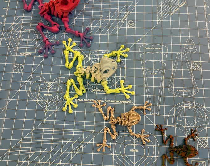 Articulating Frog Skeleton Desk Toy - Fully movable and flexible joints