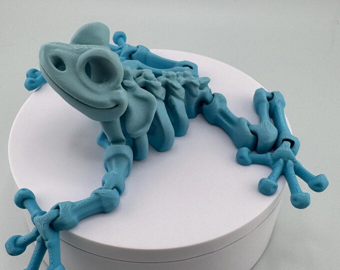 Articulating Frog Skeleton Desk Toy with Moving Legs and Feet in Multiple Colors with Free Shipping.  Available in small and large Sizes.
