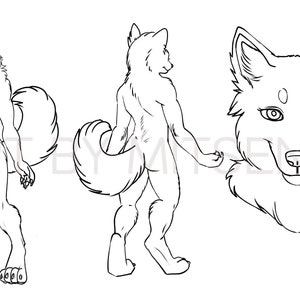 wallpapers Fursona Furry Wolf Base furry art download reference sheet