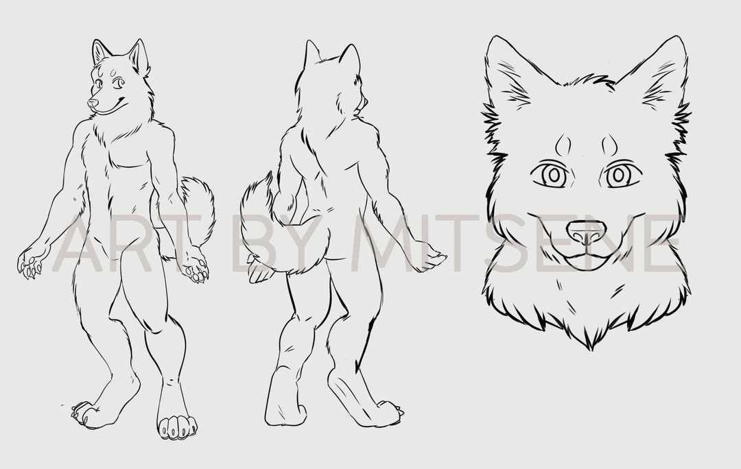 Husky Male Furry Art Reference Sheet Color Your Character Lineart