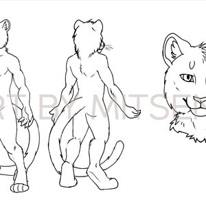 Furry Adoptable Base Download - Male Tiger anthro lineart color your own character - Leopard - Panther - Jaguar fursona