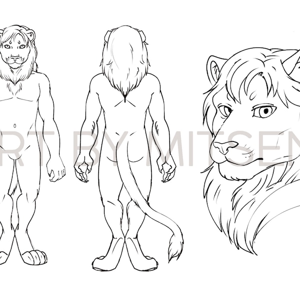 Furry Adoptable Base Download - Male Lion anthro lineart - Feline color your own character - Big cat fursona