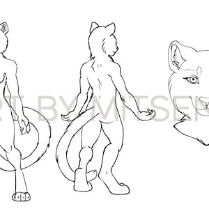 Furry Adoptable Base Download - Female Tiger Lioness anthro lineart color your own character - Big Cat fursona