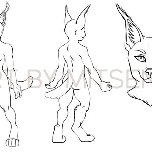 Furry Art Download Reference Sheet - Feline Color Your Character Lineart Adoptable Base - Caracal Girl Anthro Fursona Furry Fandom