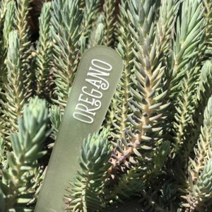 Frosted Acrylic Custom Personalized Garden Markers / Plant Stakes