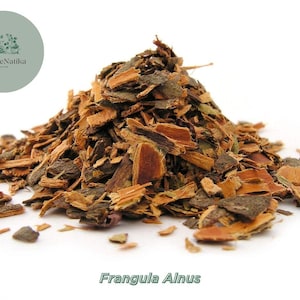 Frangula alnus | Alder Buckthorn Bark