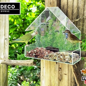 Acrylic House Bird Feeder | Wall Mounted with Suction Cups | Transparent Outdoor Animal Accessory | Removable & Easy to Install
